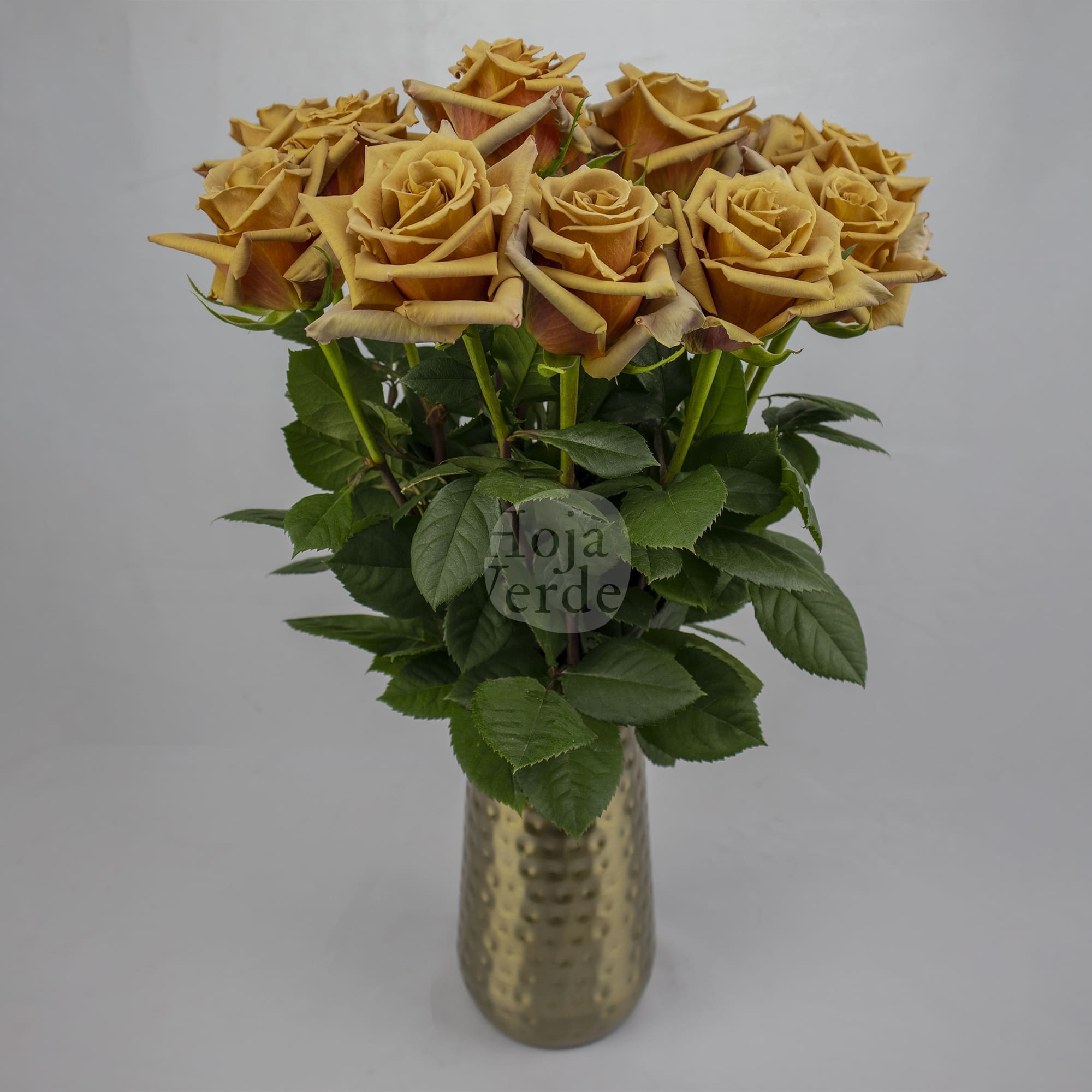 Toffee by Hoja Verde is an exclusive Ecuadorian rose with earthy brown and warm caramel tones