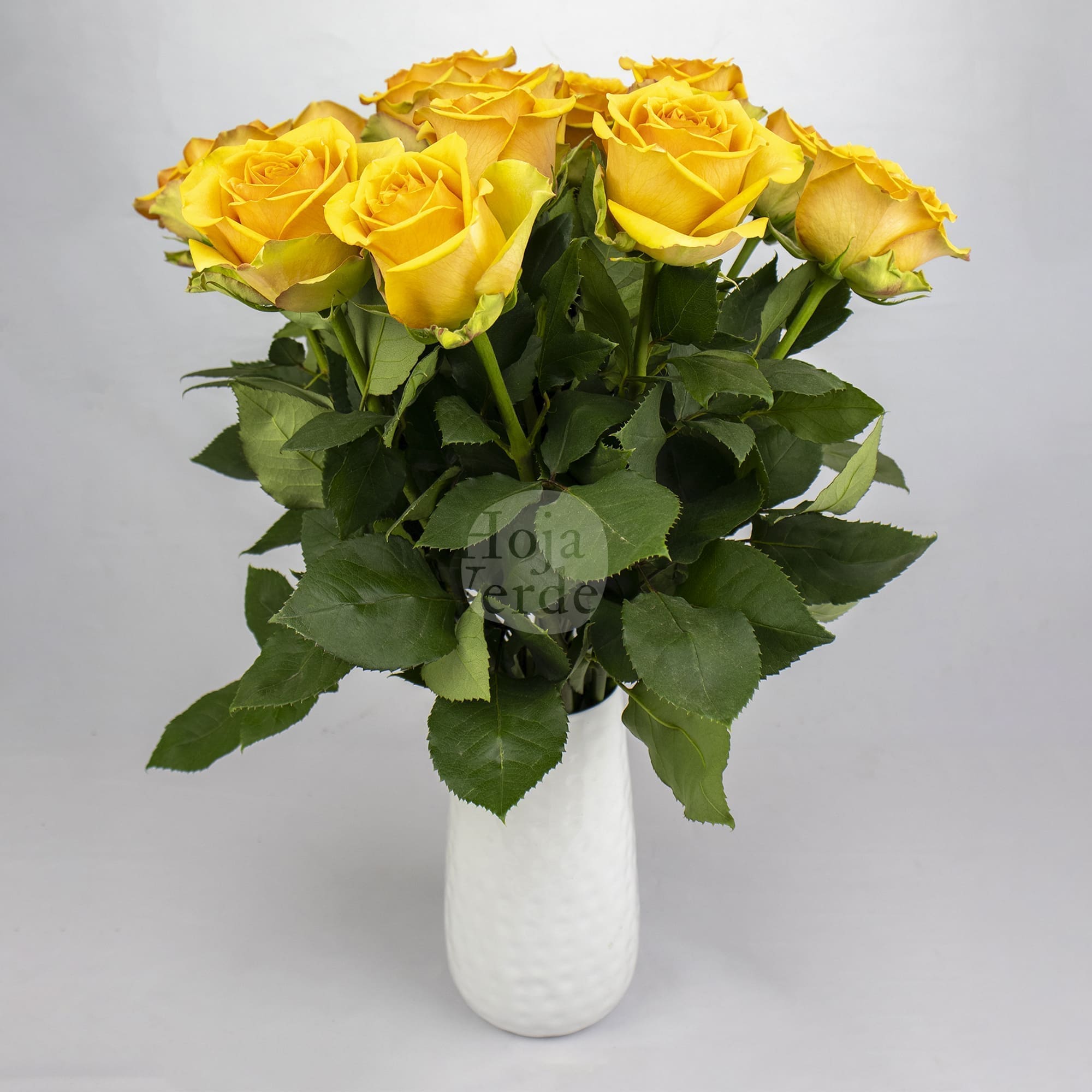 Tropic Versilia premium Ecuadorian rose by Hoja Verde, intensely vibrant peach shade