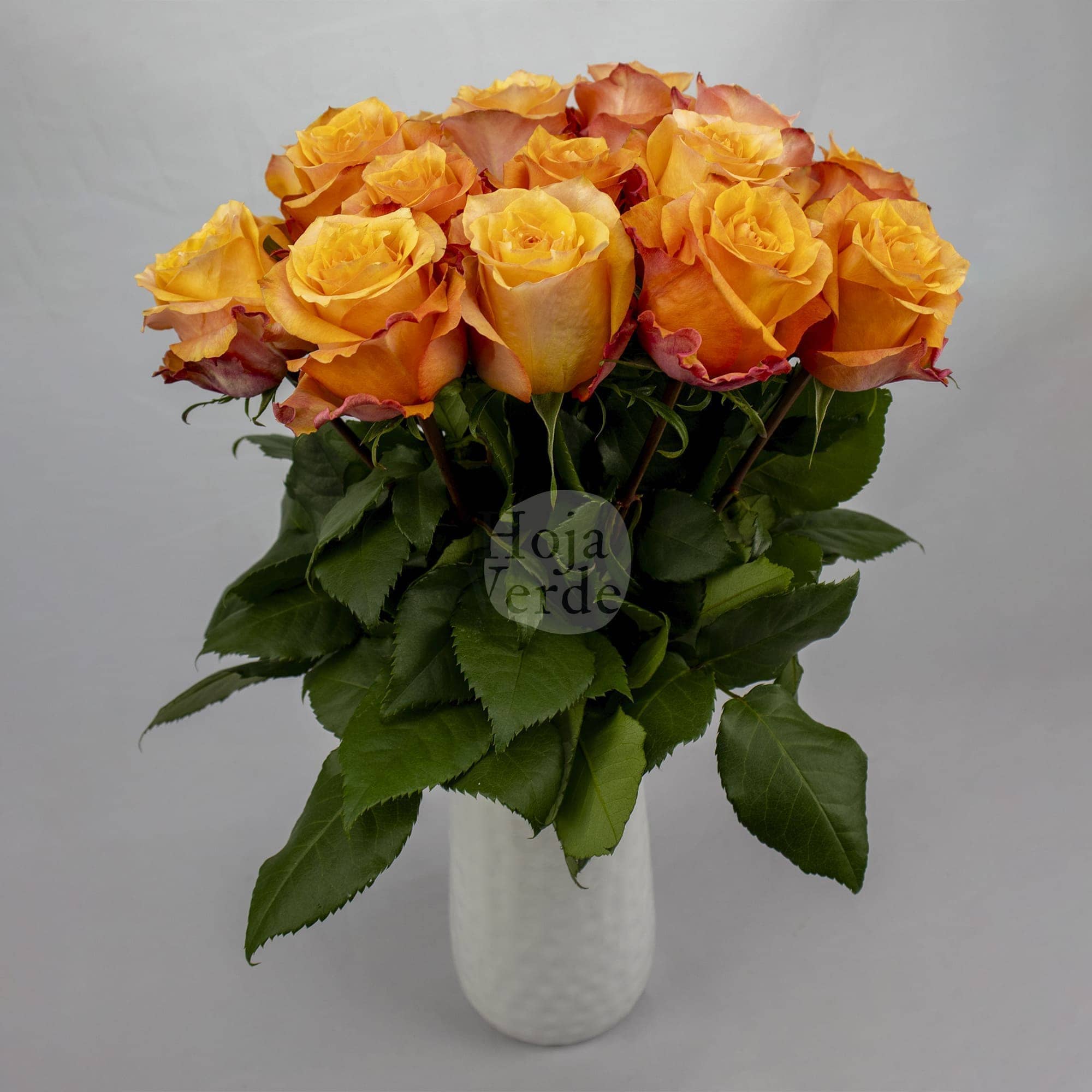 Twilight premium Ecuadorian rose by Hoja Verde: yellowish-orange center with soft orange outer petals