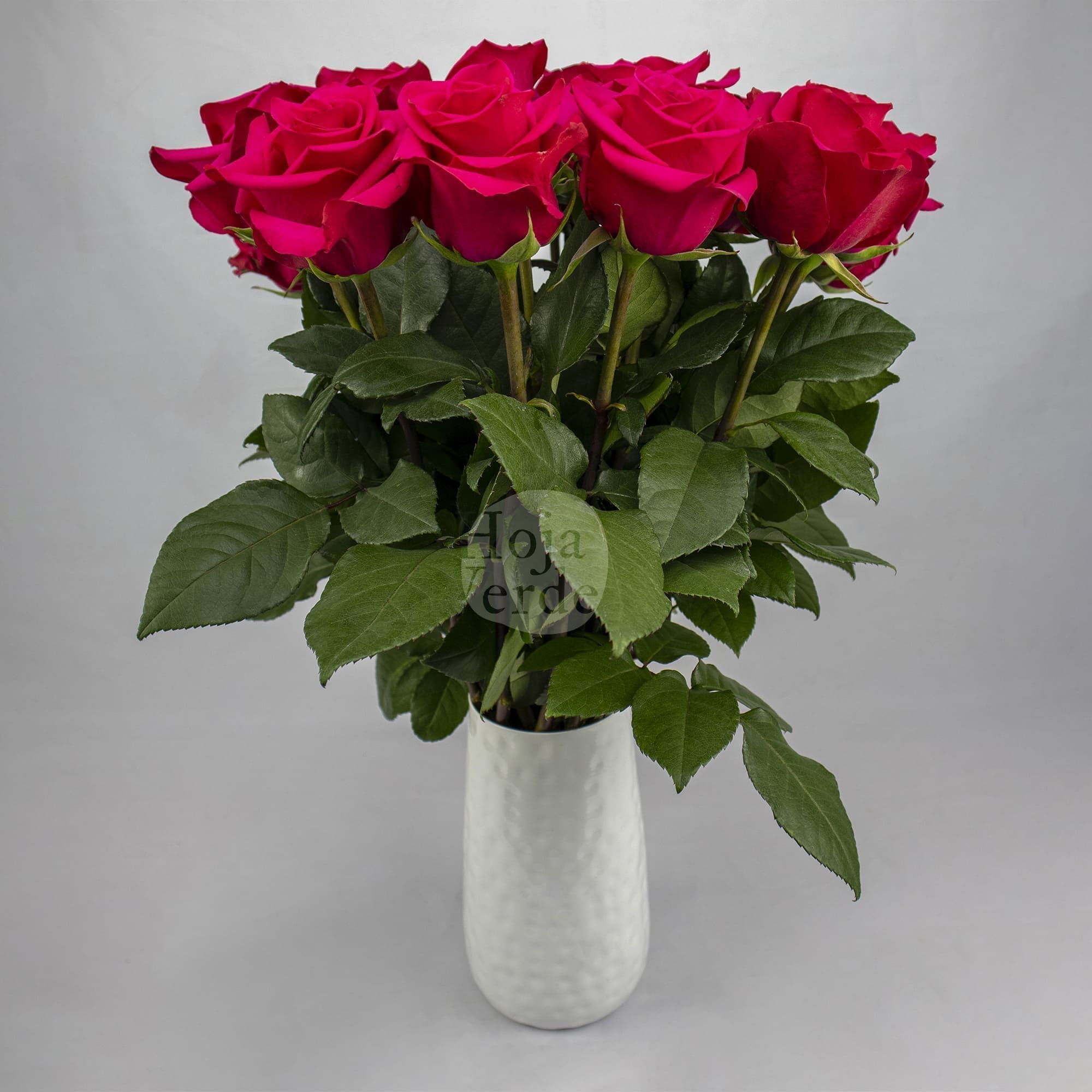 VI.I. Pink bright hot pink Ecuadorian rose by Hoja Verde