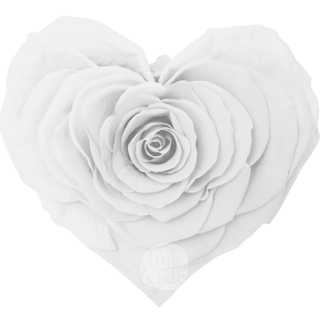 White Heart-Shaped Preserved Rose by Hoja Verde