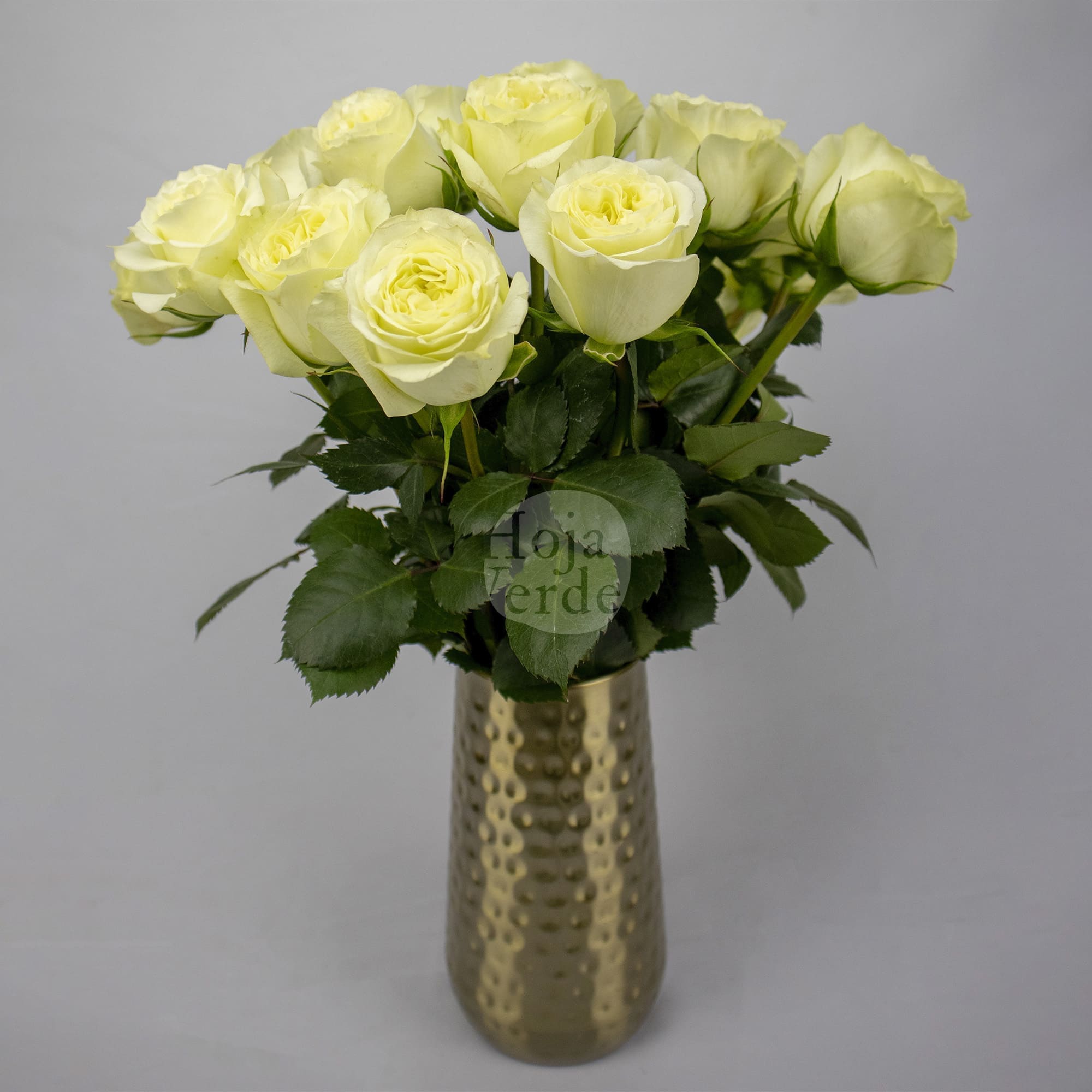 White Xpression premium Ecuadorian garden rose by Hoja Verde — pure white shade with a creamy center effect