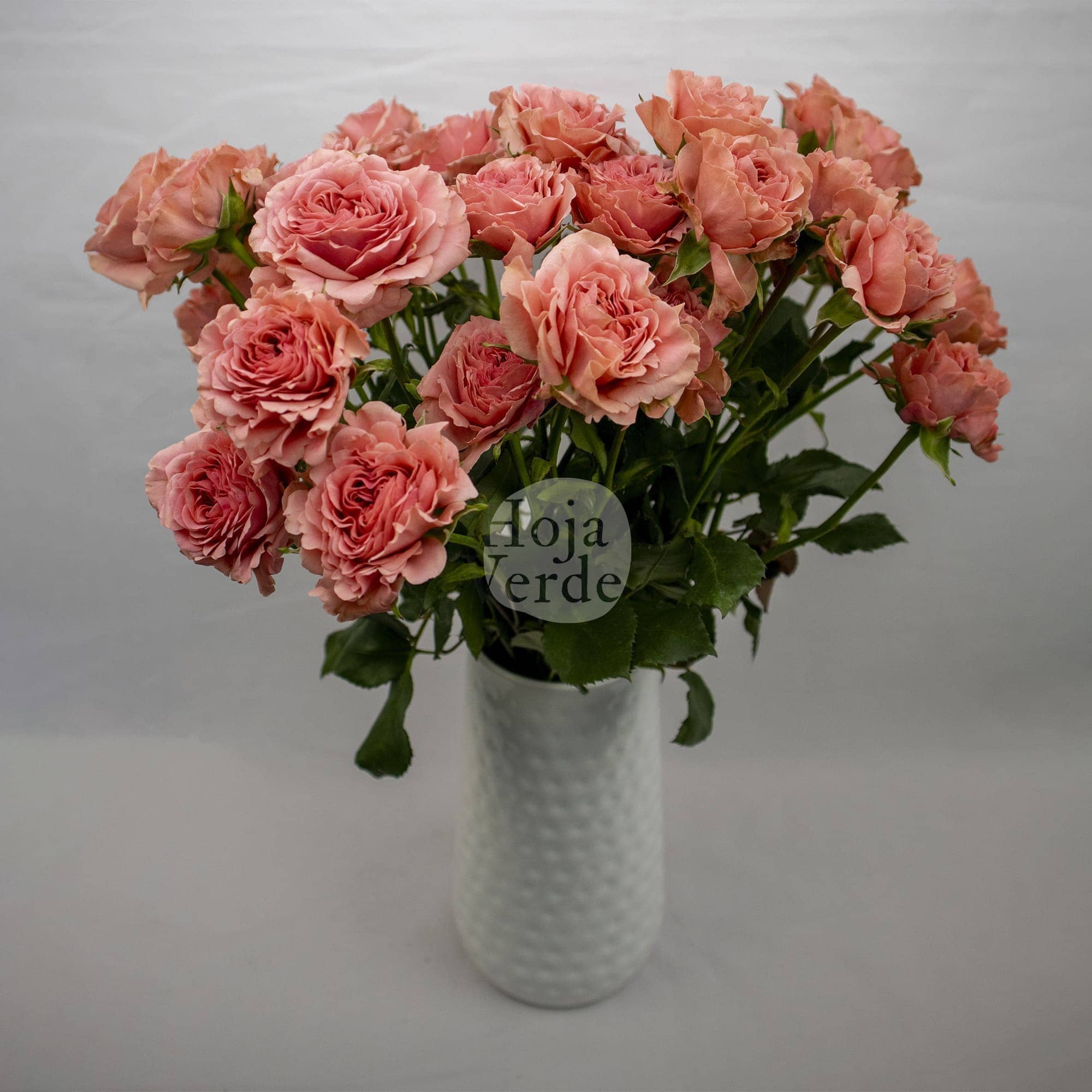 Be Joyful, Ecuadorian peach spray rose by Hoja Verde