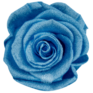 Ecuadorian Preserved Roses by Hoja Verde