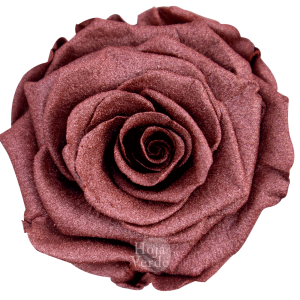 Ecuadorian Preserved Roses by Hoja Verde