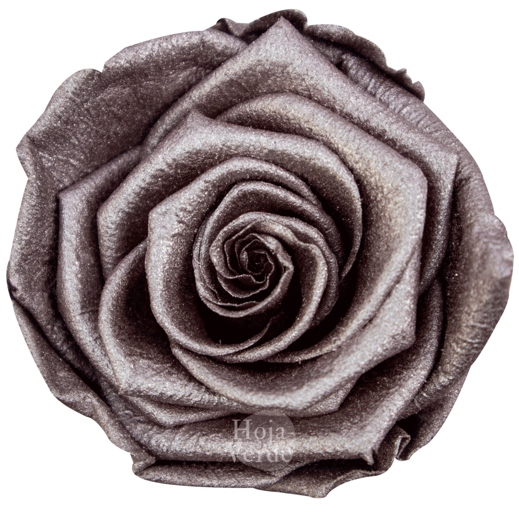 Ecuadorian Preserved Roses by Hoja Verde