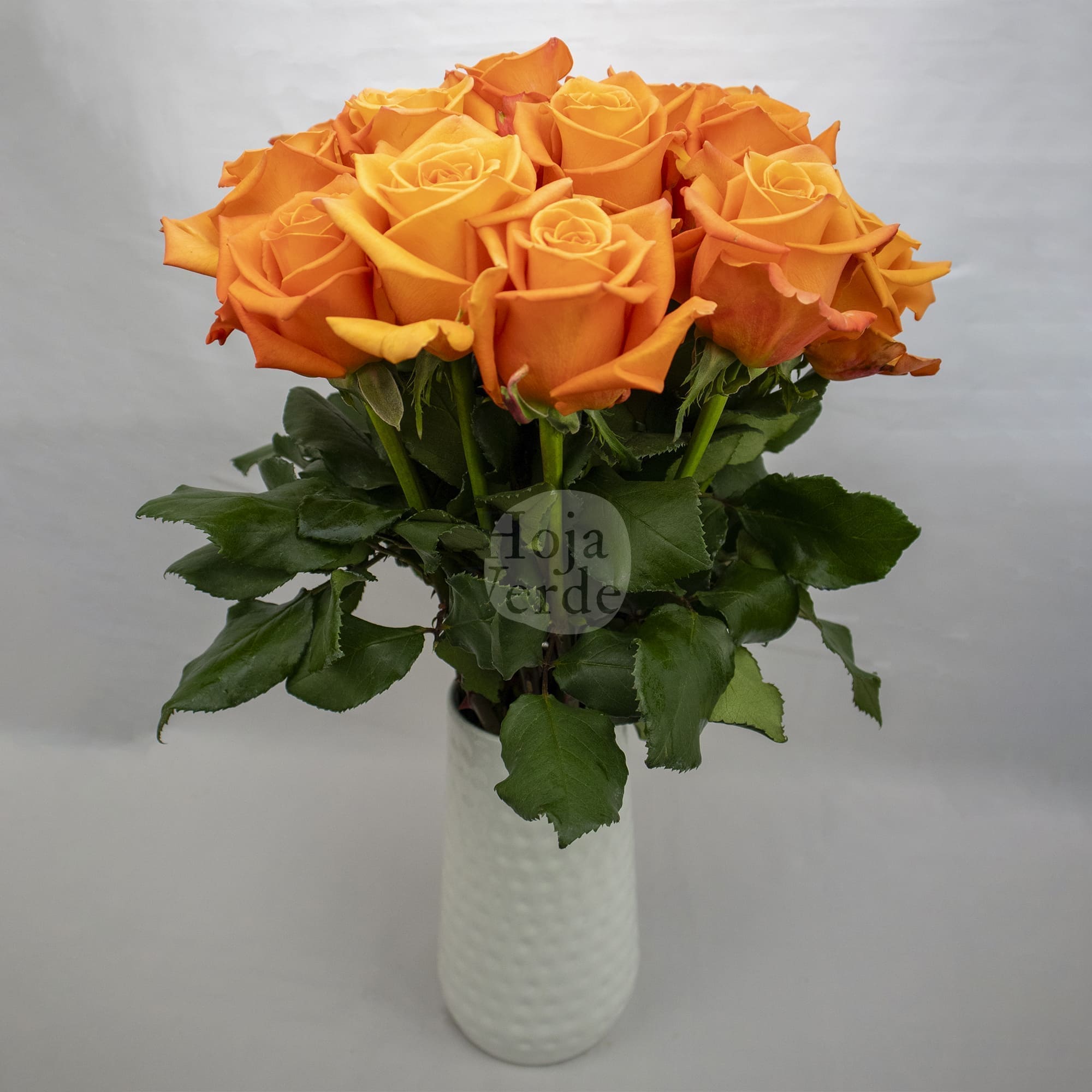 Honey Bunny, Ecuadorian orange rose by Hoja Verde