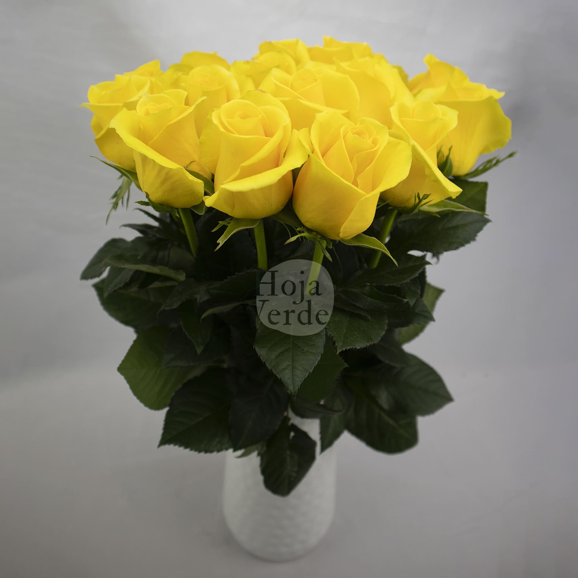 Momentum, Ecuadorian yellow rose by Hoja Verde