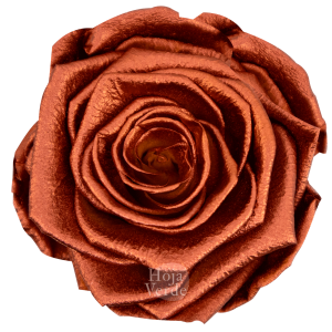 Ecuadorian Preserved Roses by Hoja Verde