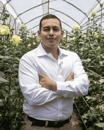 MORALES JAVIER HOJA VERDE